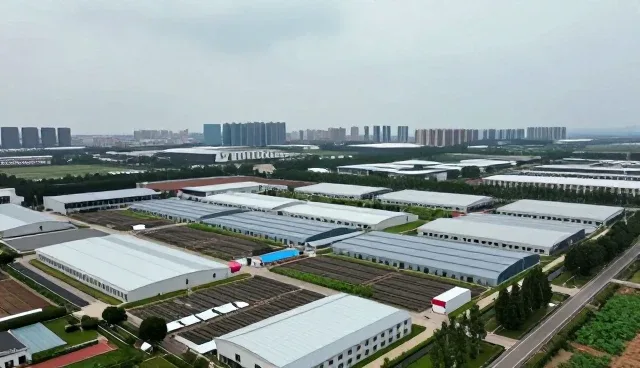 品牌活动策划中选型关注点的实战解析