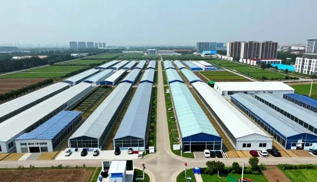 市场调研中的品牌咨询等应用经验分享